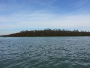 Ecotrail dans le parc du château de Versailles