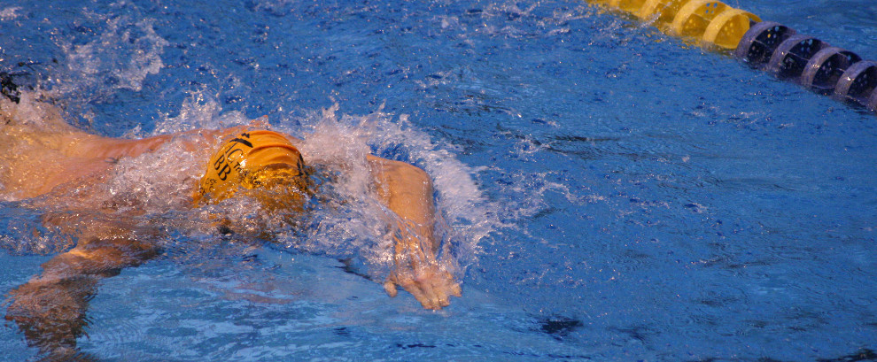 Natation en piscine