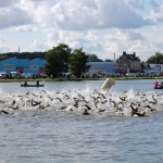 Natation au triathlon de Nevers Magny Cours 2014