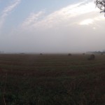 La campagne au petit matin